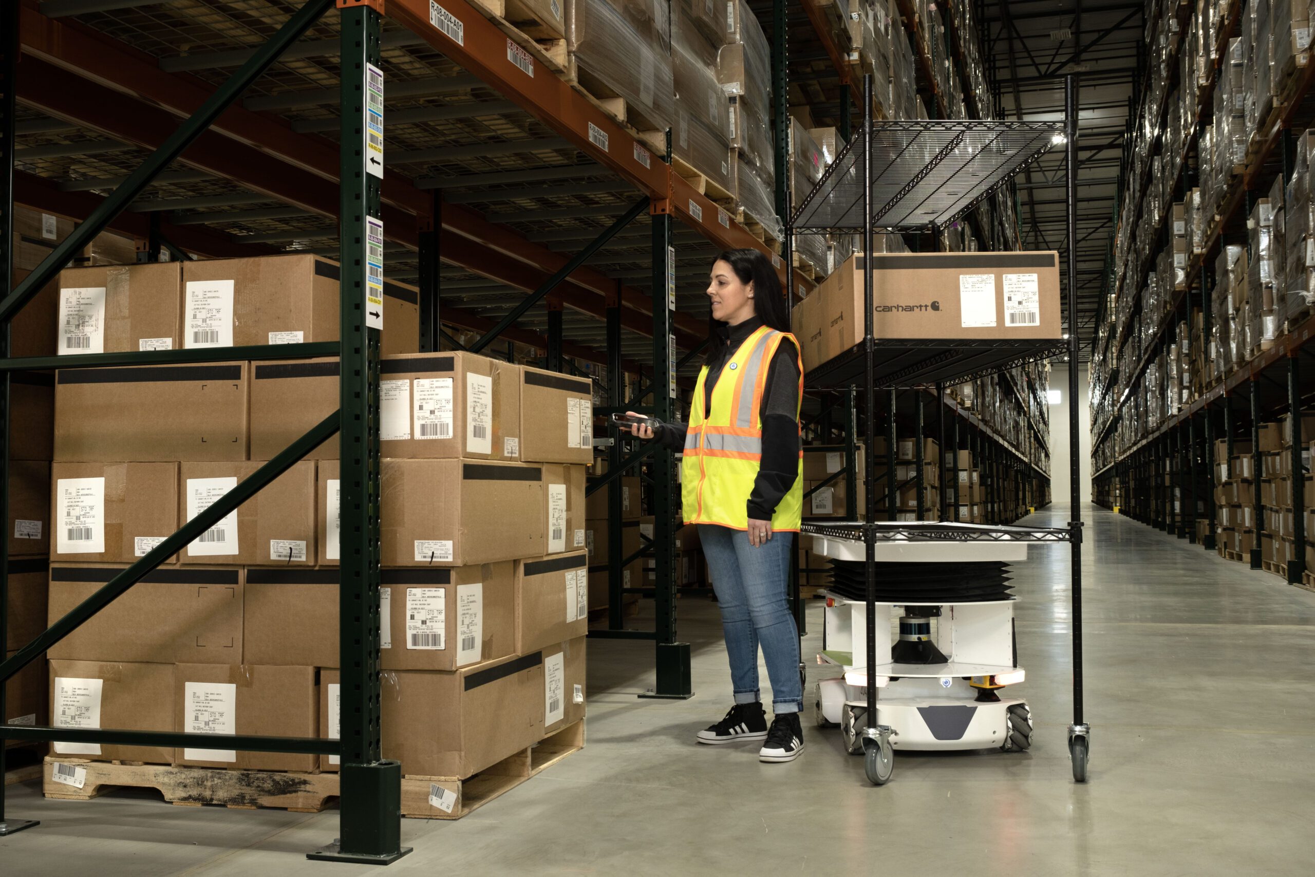 Humanoid Hype? Get Real